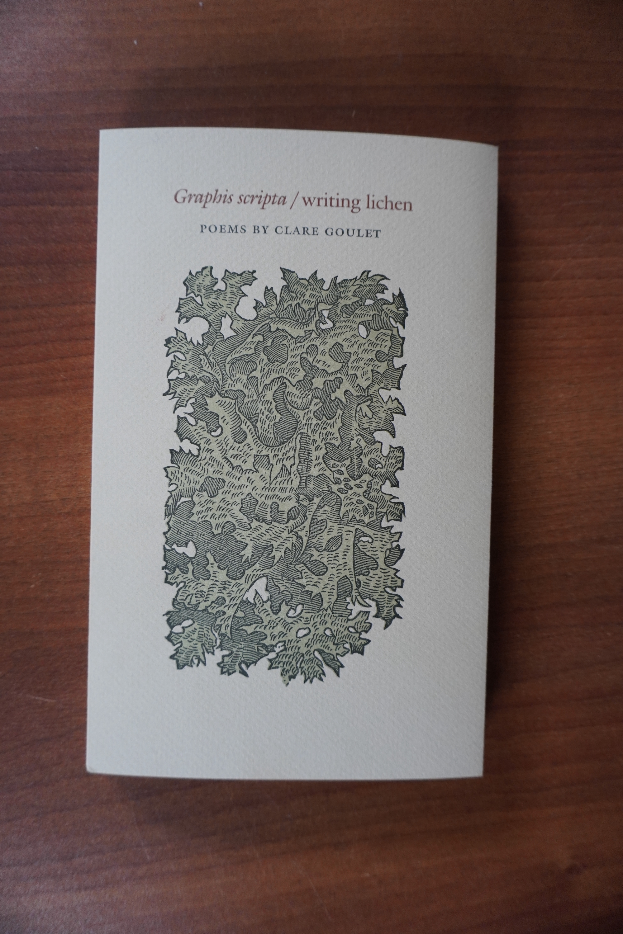 Writing Lichen by Clare Goulet