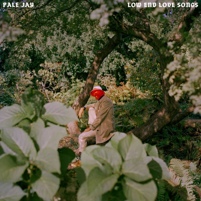 Pale Jay - End Love Songs by Unknown Artist - View 1