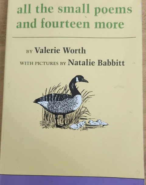 All the Small Poems and Fourteen More/Valerie Worth