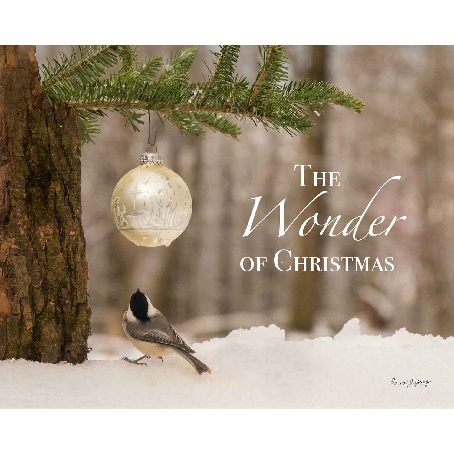 The Wonder of Christmas