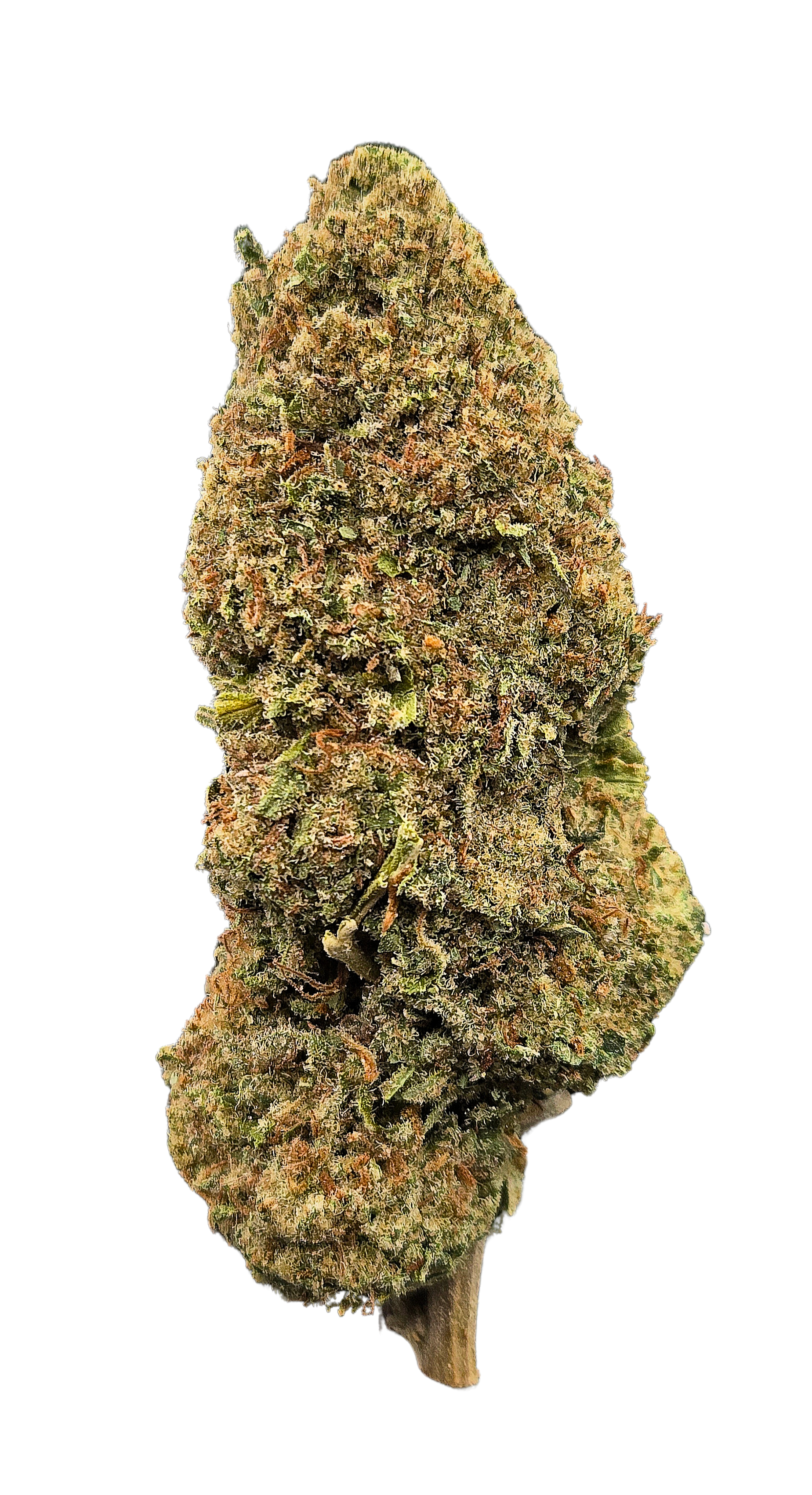 Ace of Spades THCA - Indica - Bulk Flower