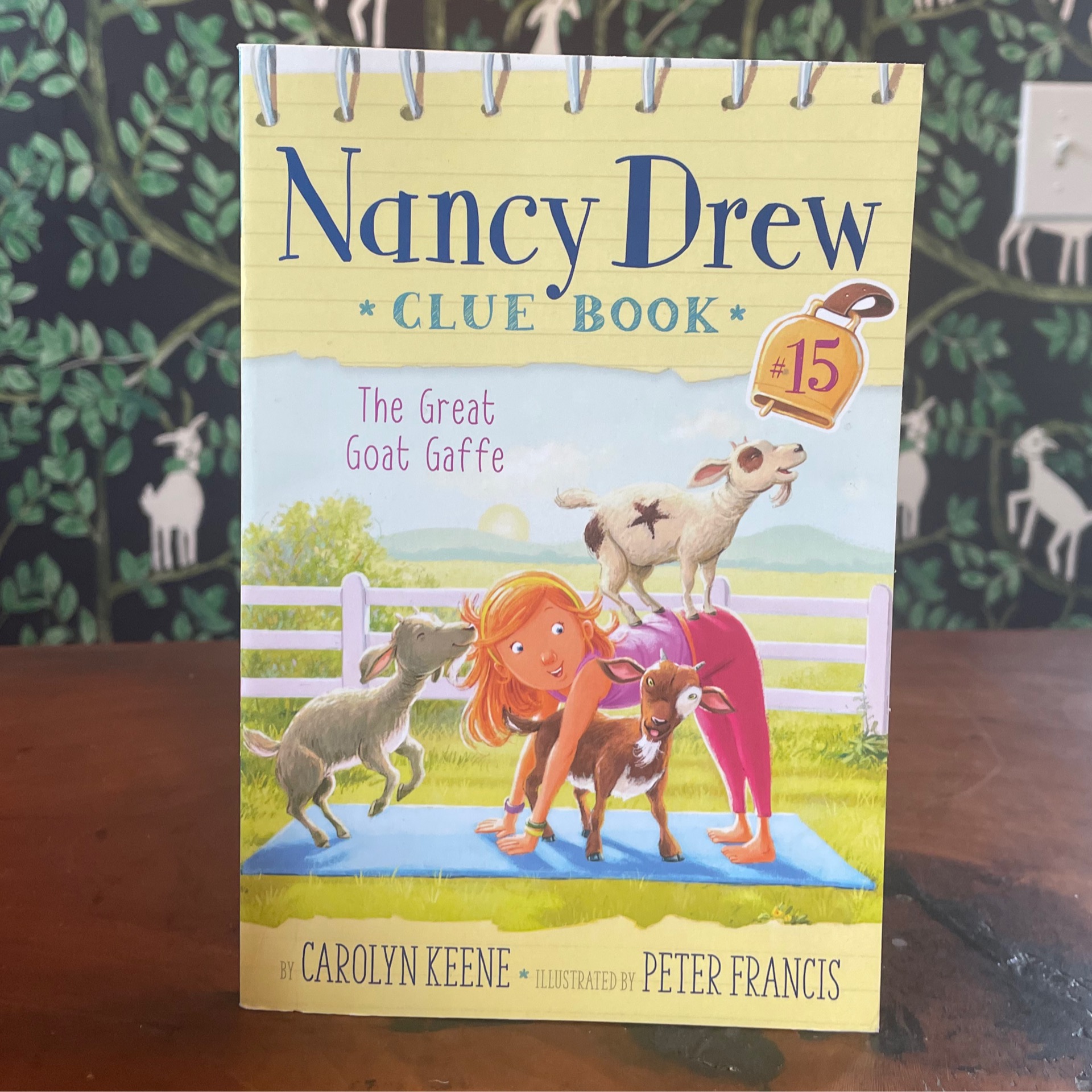 Nancy Drew - Paperback