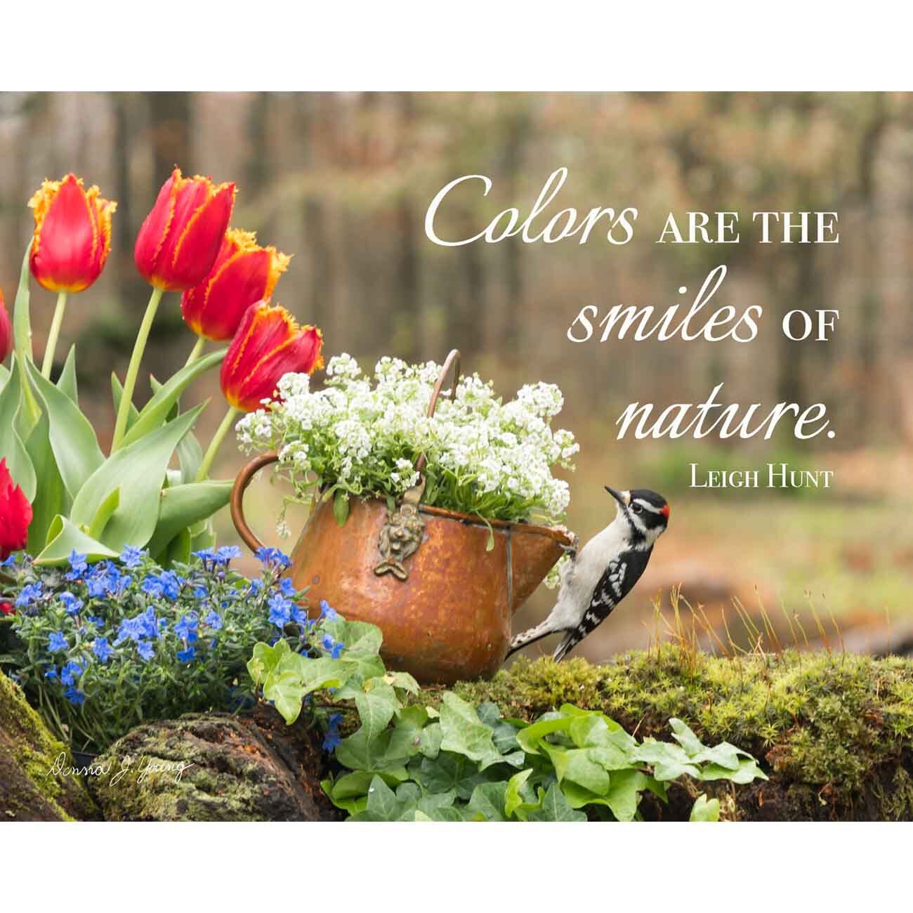 Smiles of Nature