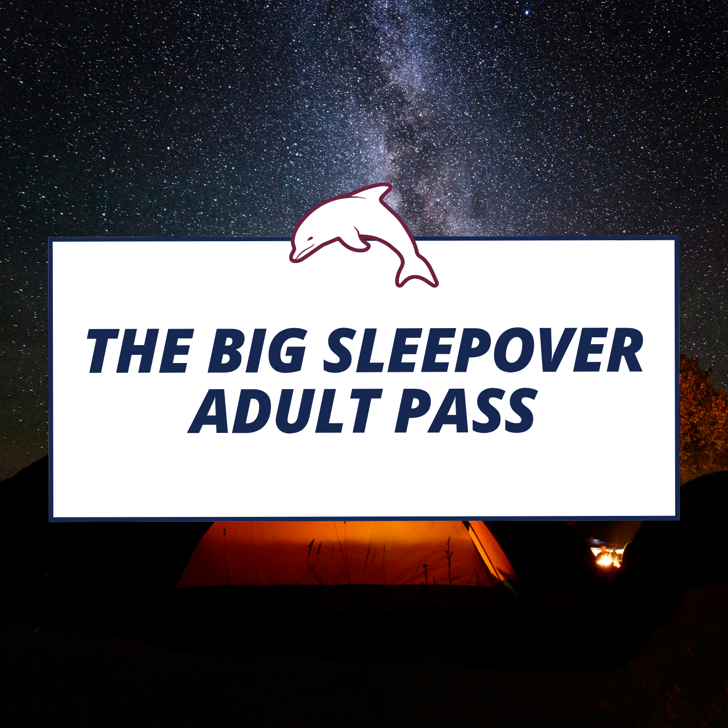 The Big Sleepover - Adult Pass