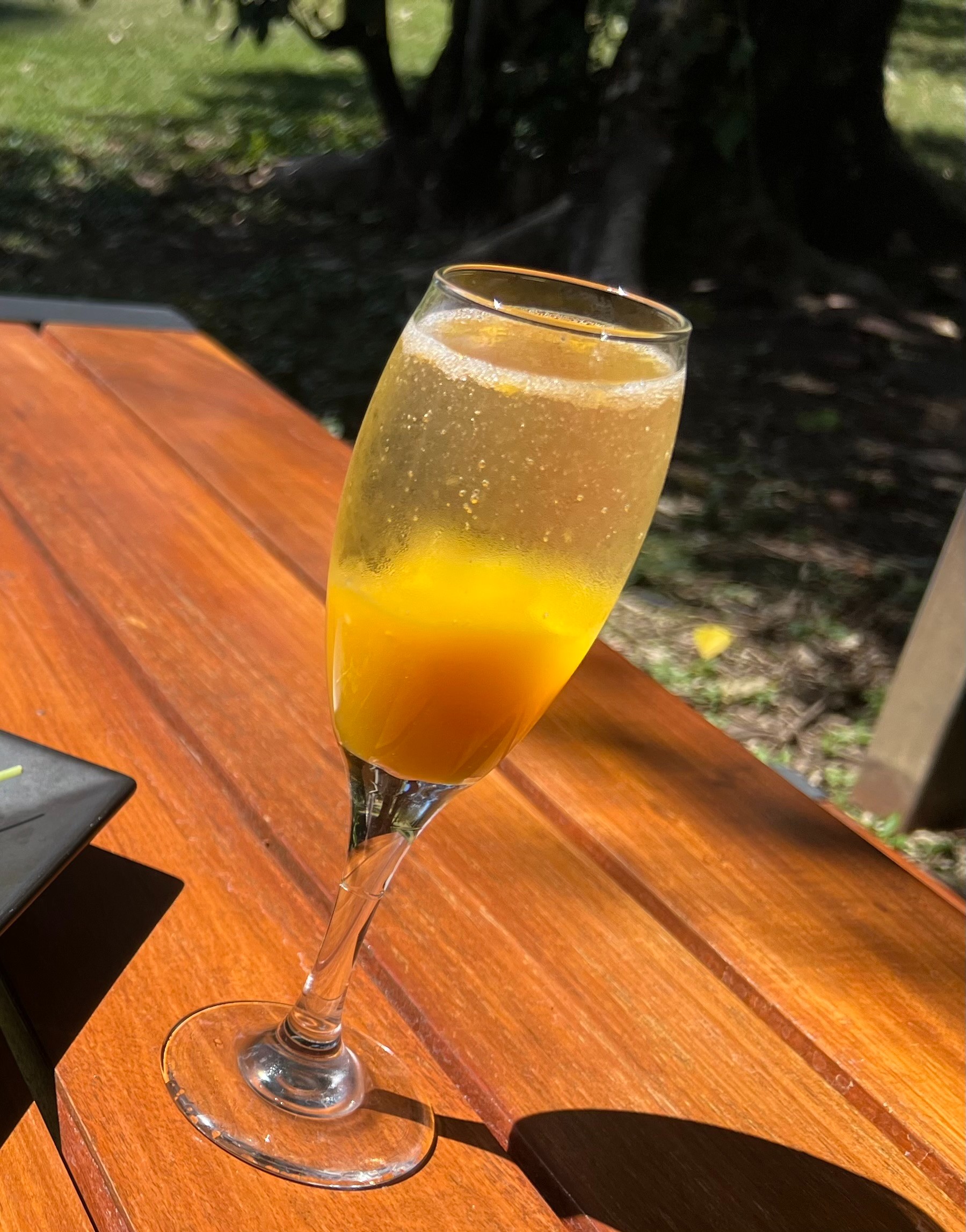 Mimosa