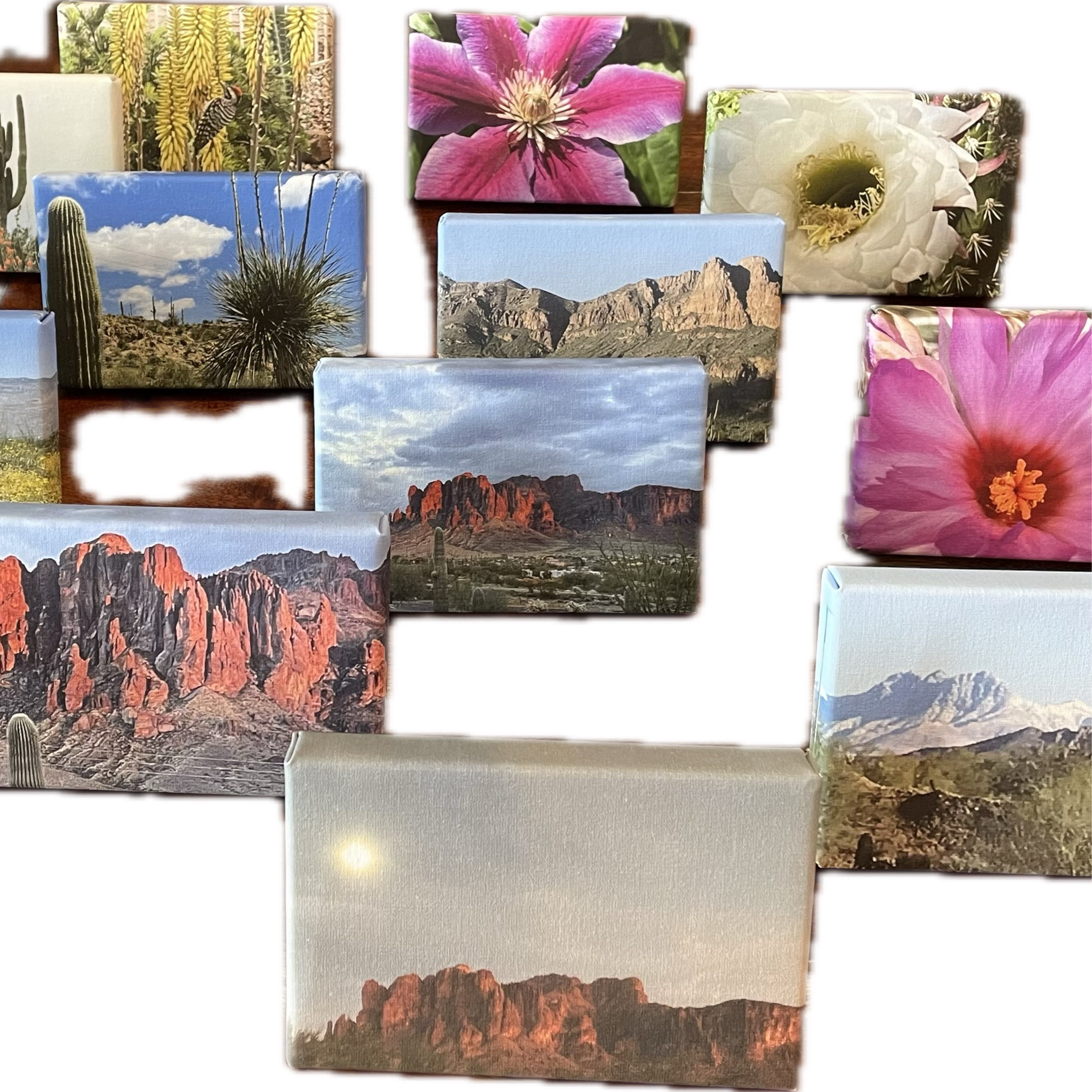 Canvas-saguaro