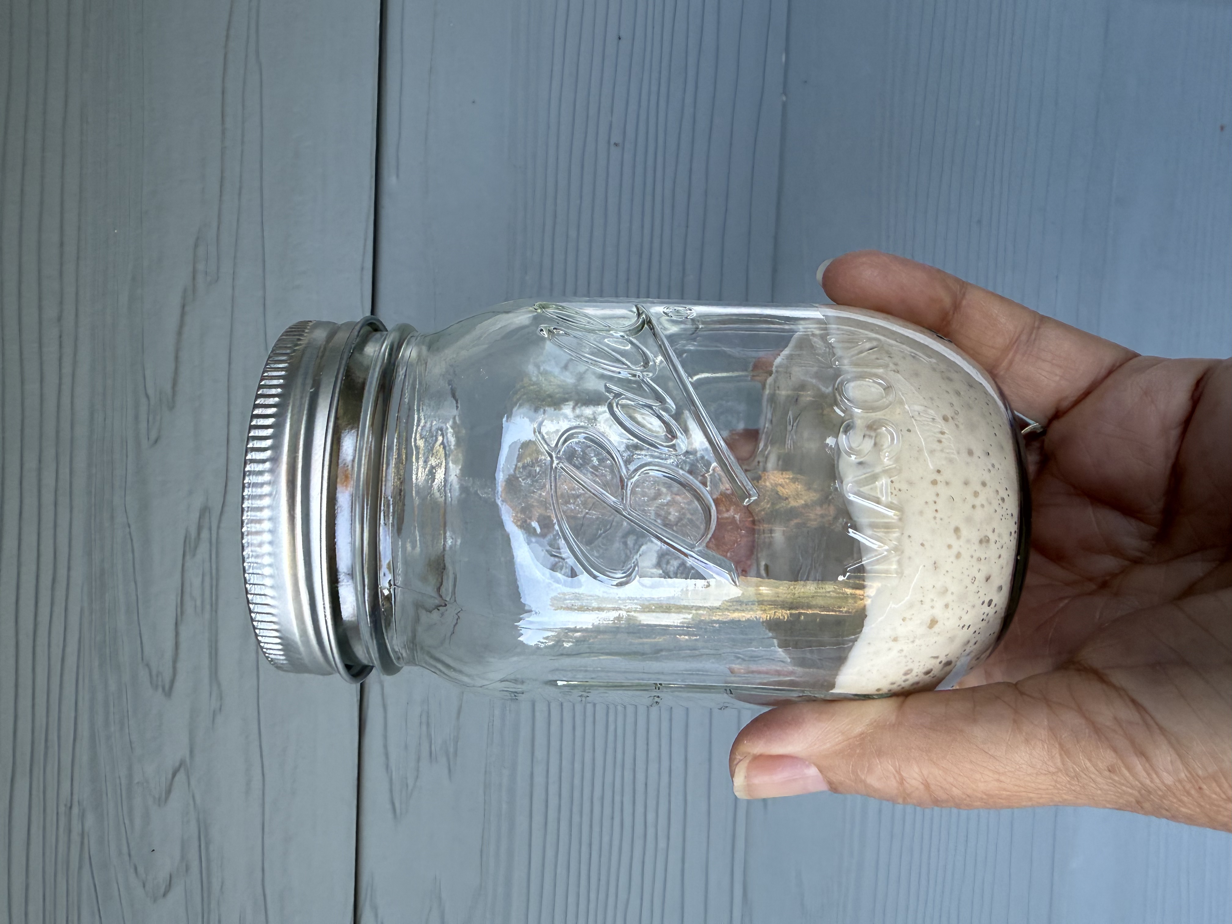 Photo of Fresh Active Starter