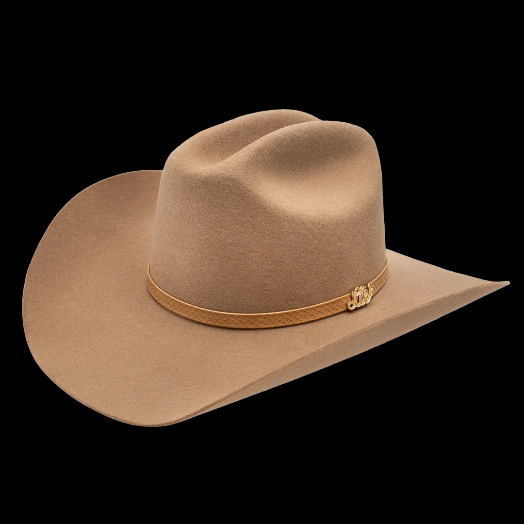 Charlie 1 Horse Delta Dawn Western Hat