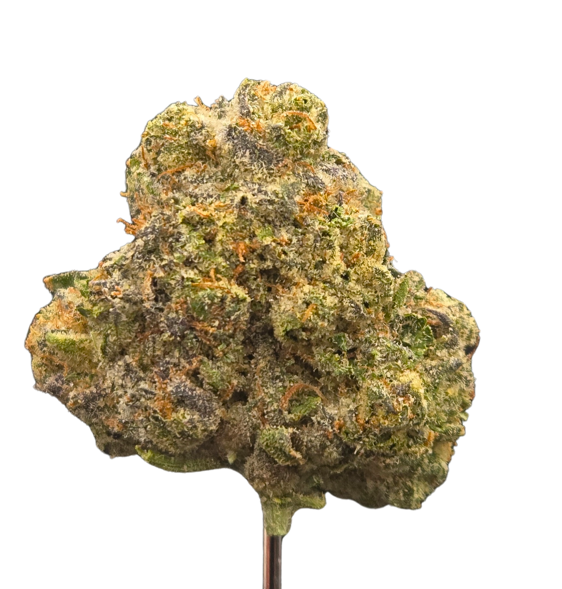 Fiji Sunset THCA - Hybrid (Indica Dom.) - Bulk Flower