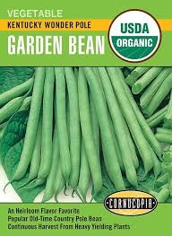 Kentucky Wonder Pole Garden Bean Seed Pack, Organic