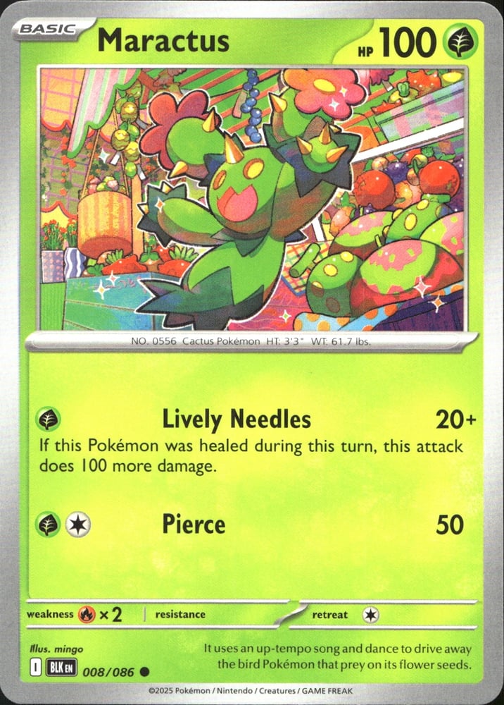 Maractus - SV10.5B 8/86