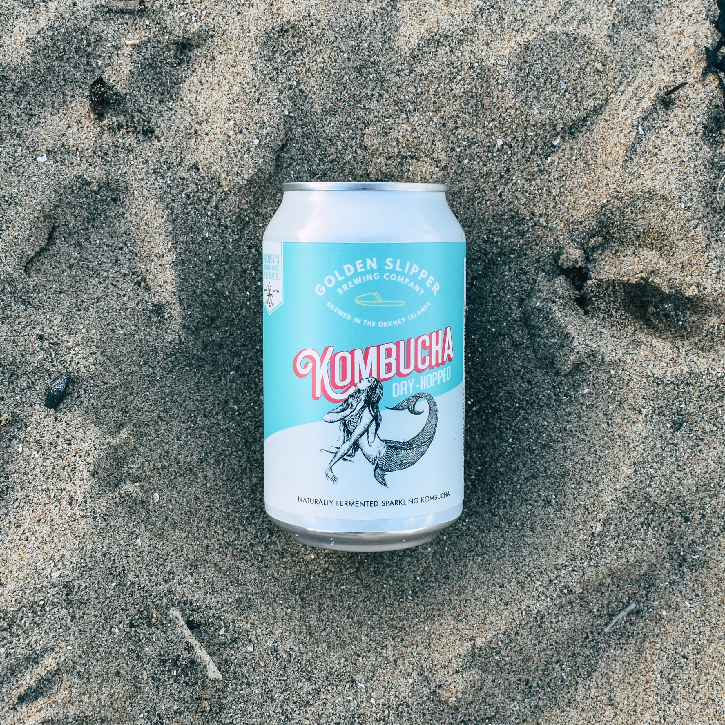 Dry Hopped 330ml Can