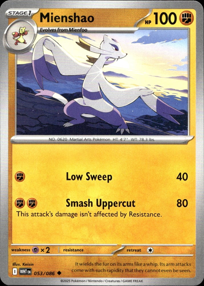 Mienshao - SV10.5W 53/86