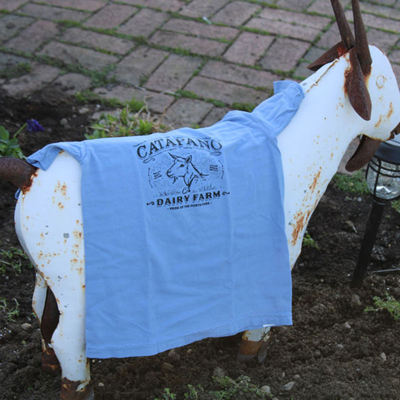 Kid's T-Shirt (Summer Sky Blue)