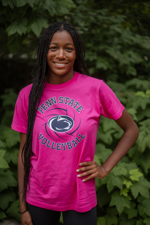 Pink Volleyball