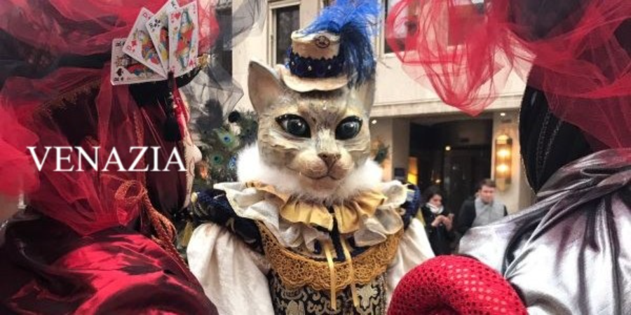 出発14日前以降の申込・カーニバルを巡る（所要2時間）日本語ガイド・プライベートツアー