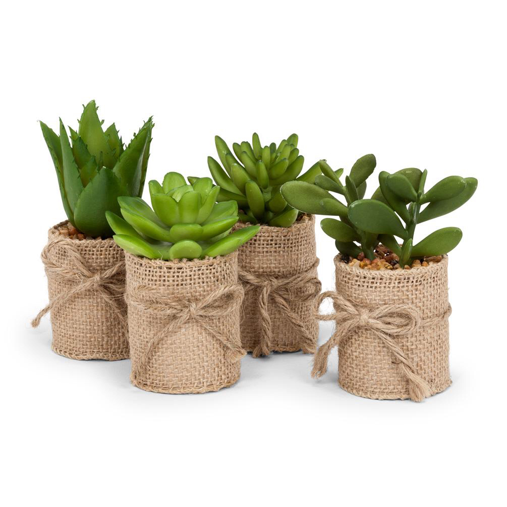 Abbott Collection Set of 4 Green Succulents in Burlap Wrap