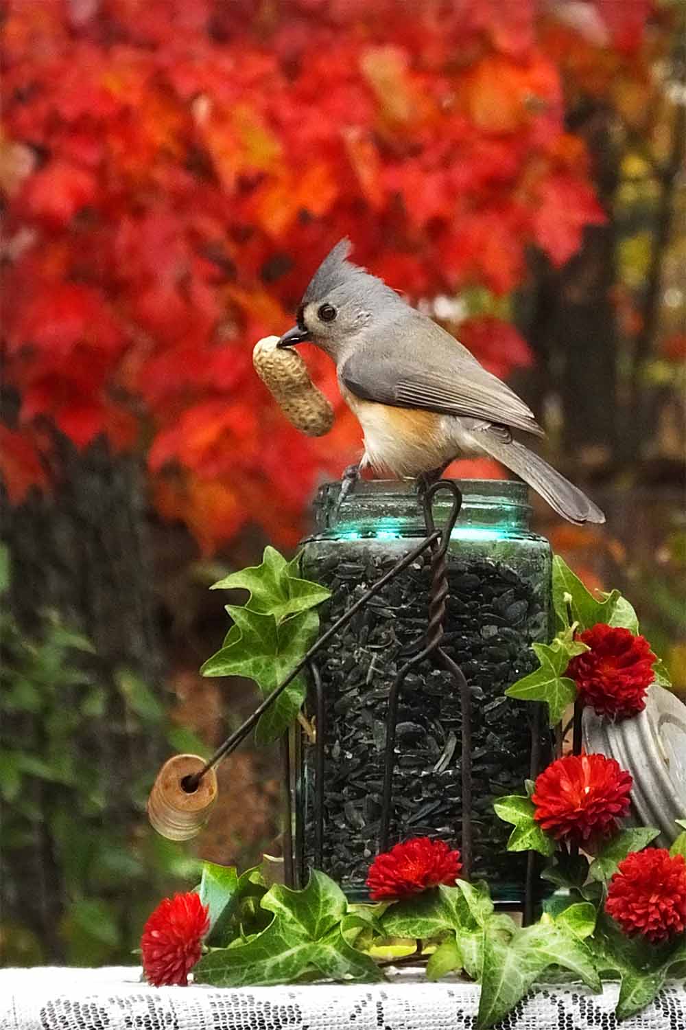 Autumn Delight