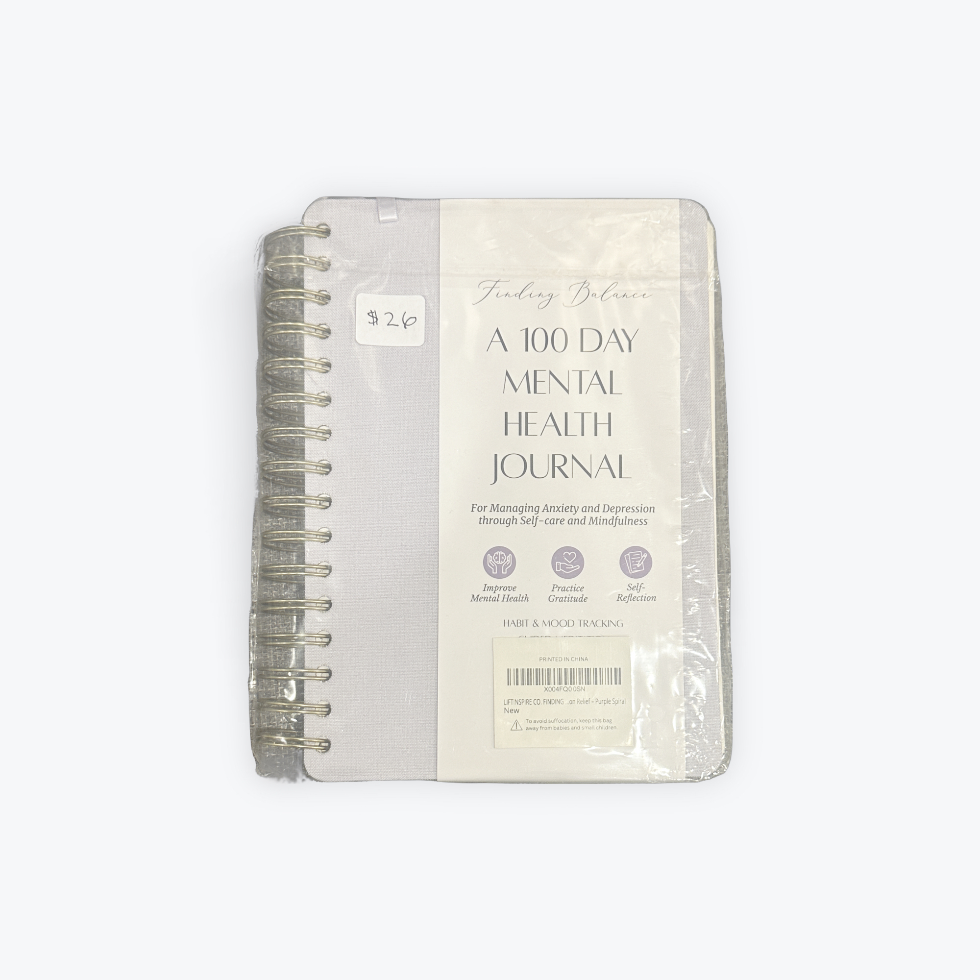 100 Day Mental Health journal