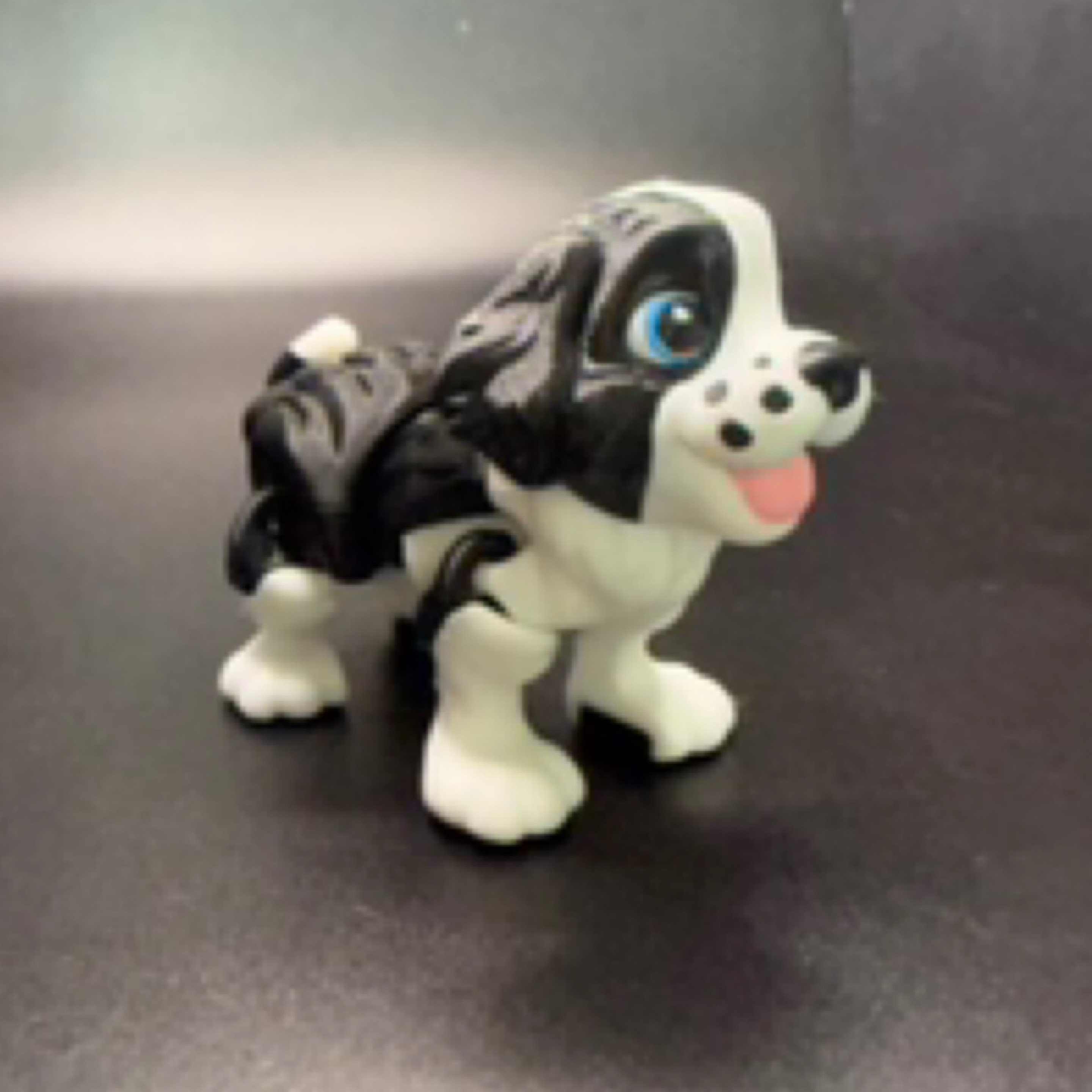 Springer Spaniel