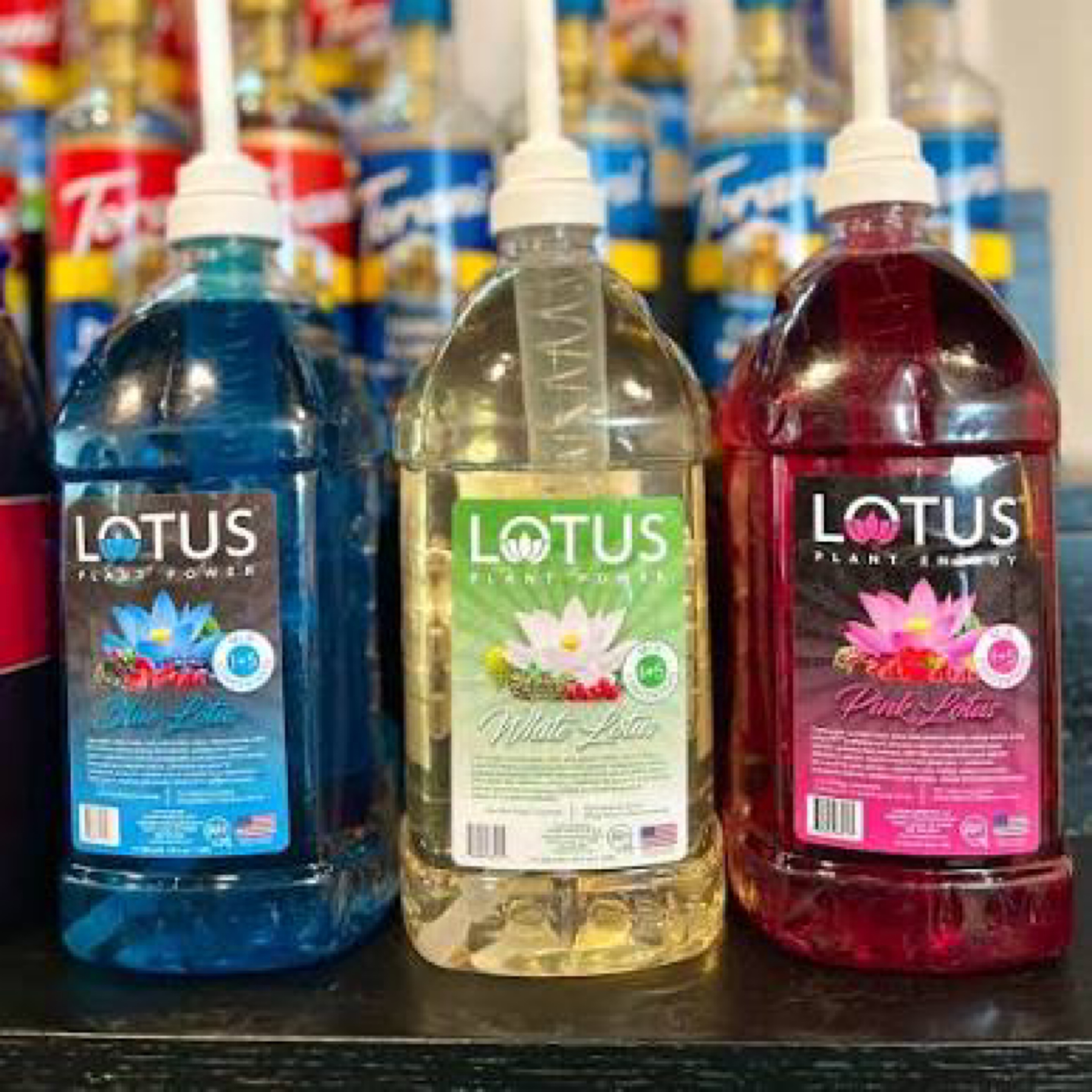 Lotus Energy Infusion BYO