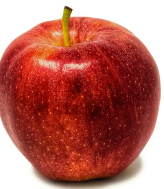 Apple - Gala
