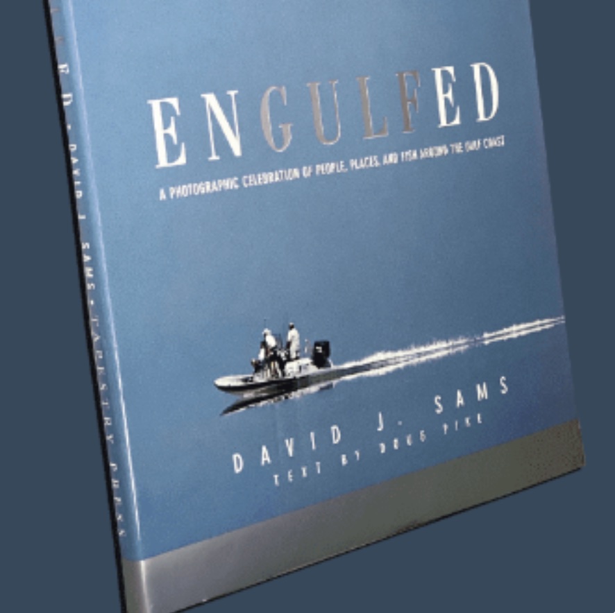Engulfed Book