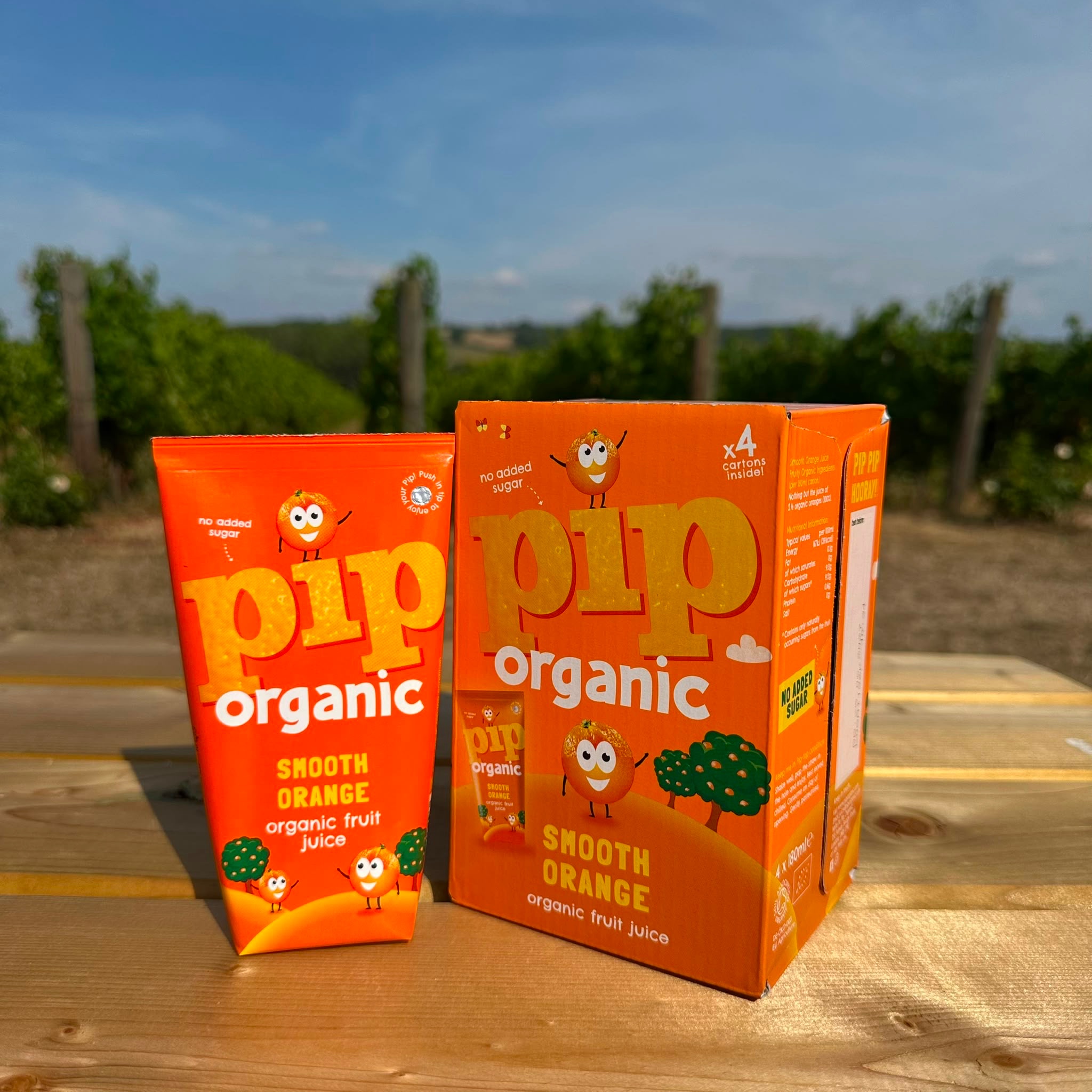 Smooth Orange Fruit Juice