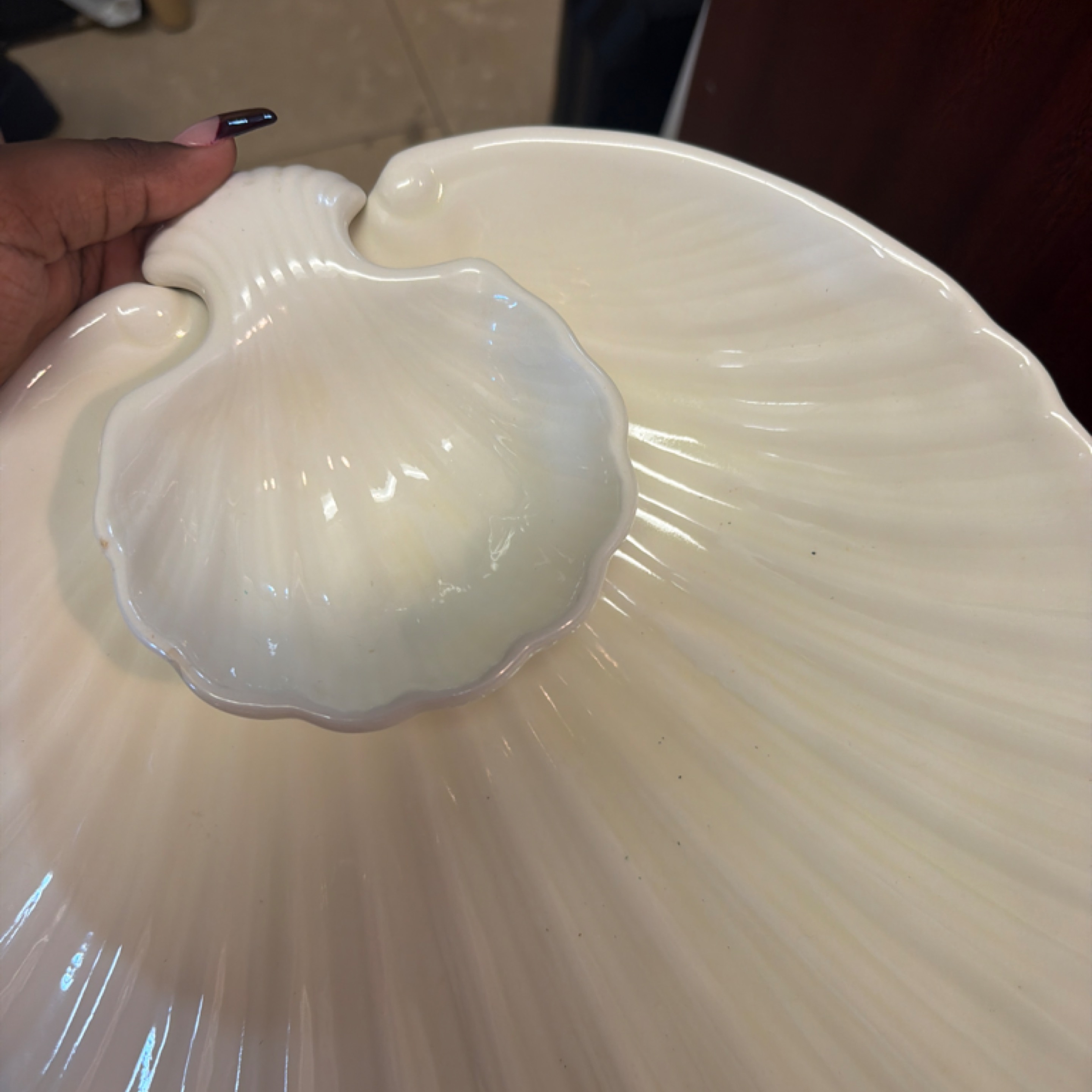 Shell  Bowl 