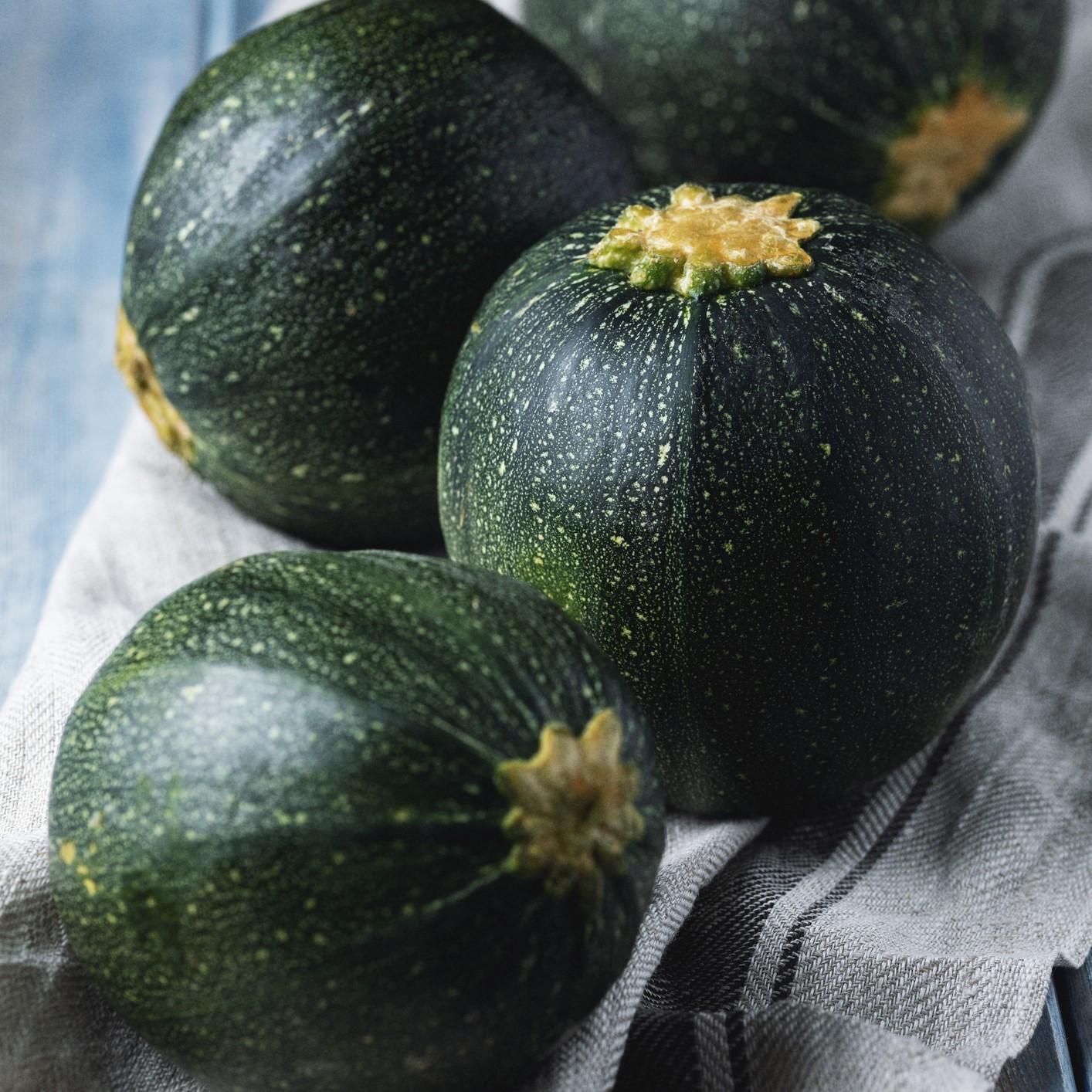 Courgette Zucchini 'Eight Ball' F1- 2x Plug Plants | Round Variety