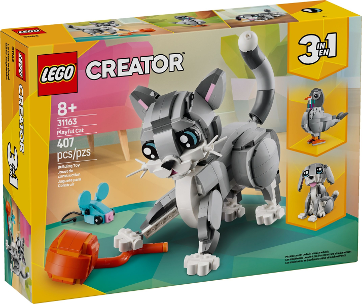 31163 Playful Cat