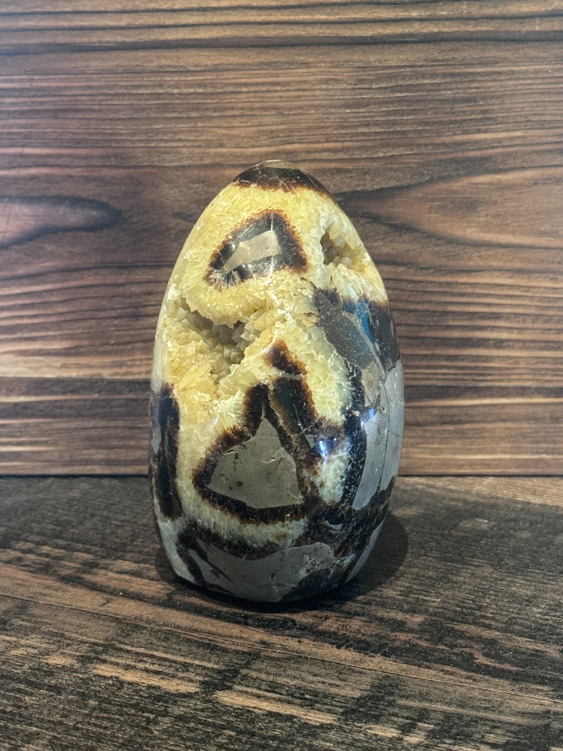 Septarian Freeform with Druzy
