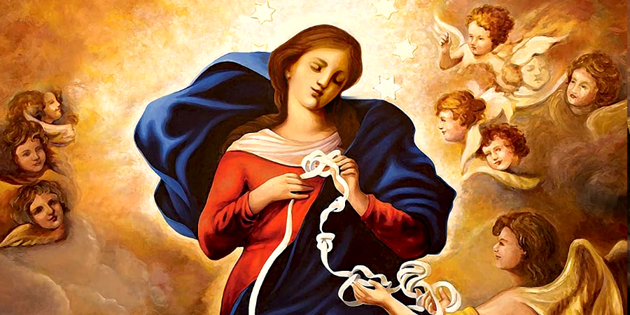 Apoyar la Novena · Donación voluntaria