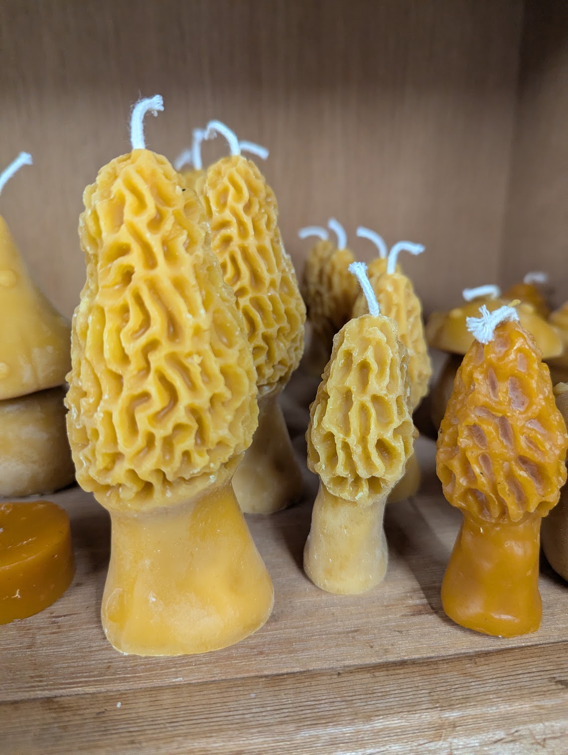 Anarchy Apiaries  |  Honey, Candles, Products - Large Morel Candles 4oz (photo small & large)