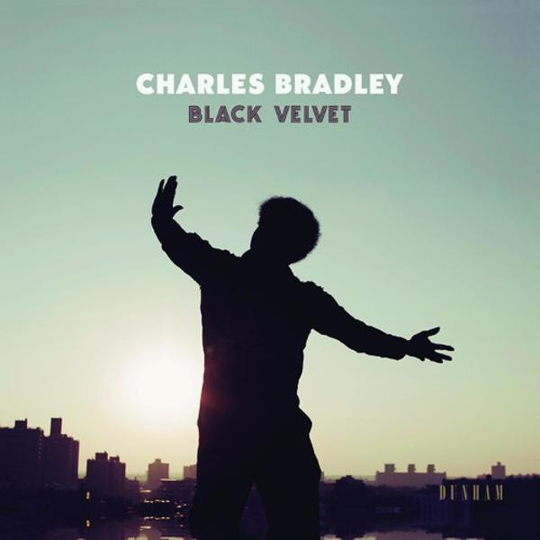 Charles Bradley - Black Velvet by Unknown Artist - View 1