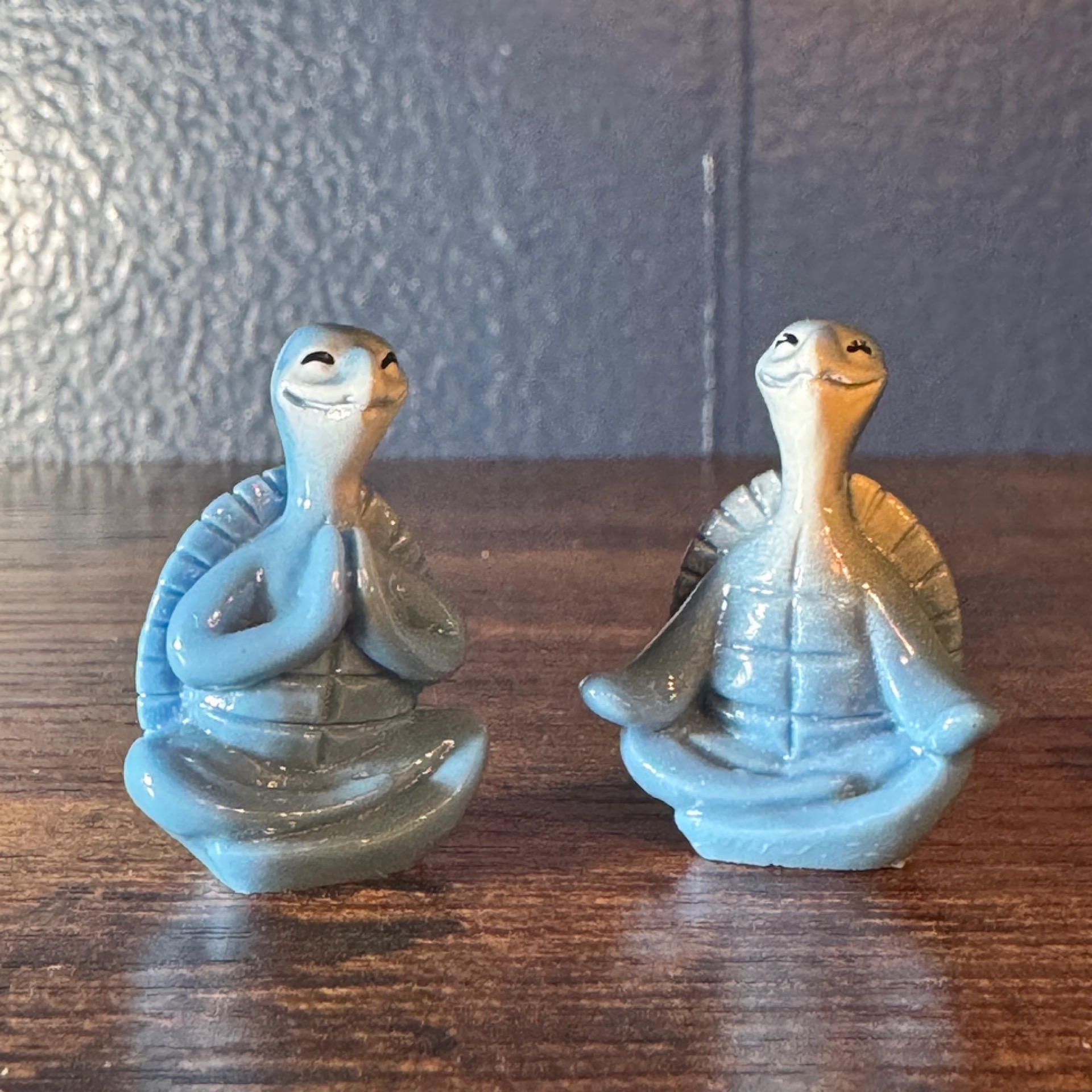 Zen Turtle