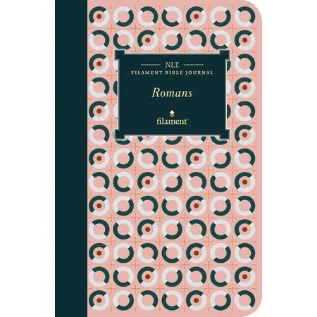 NLT Filament Bible Journal: Romans (Softcover) -back)