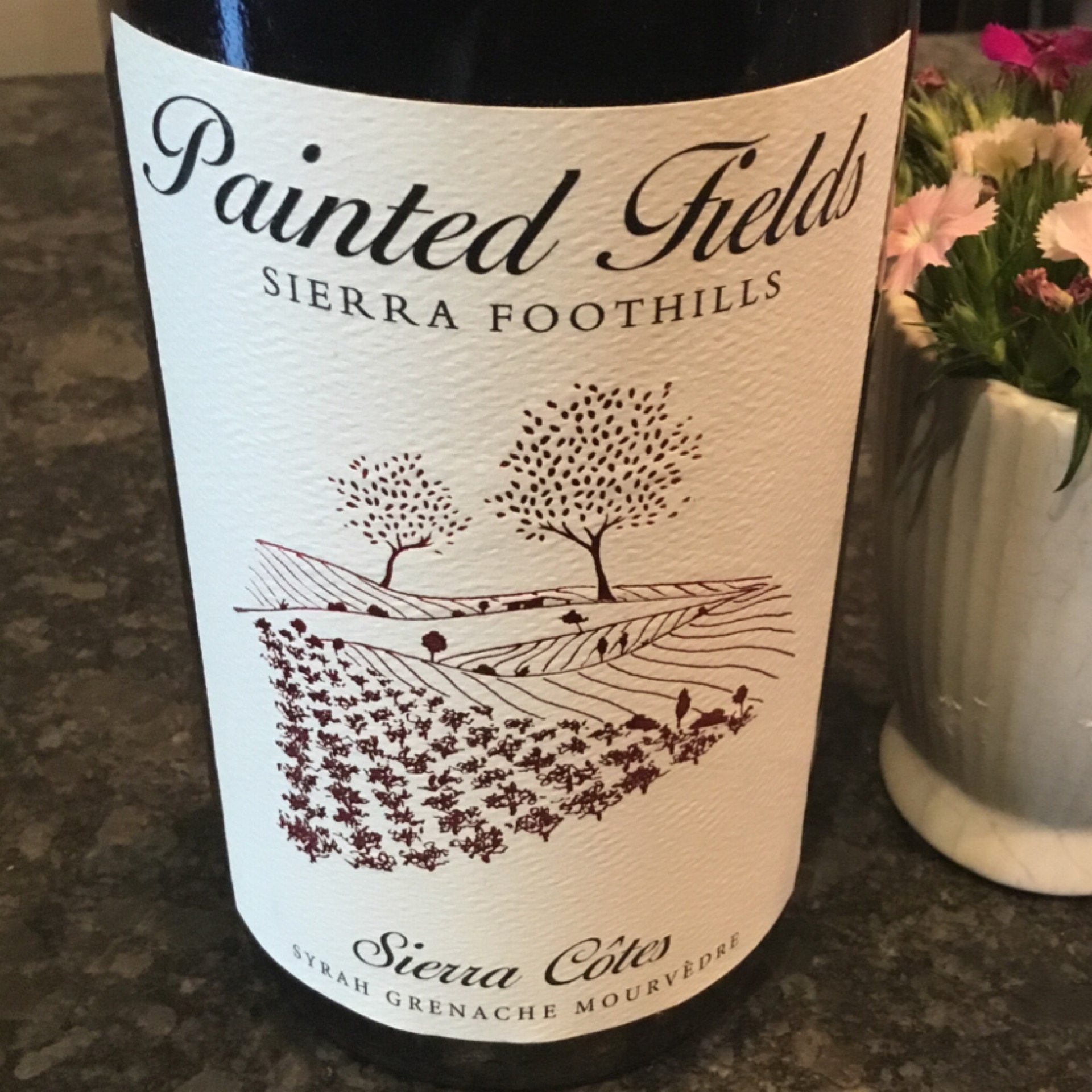 Bottle of Sierra Cotes - Painted Fields - Red Blend - 2022 available at Ashburn Wine Shop