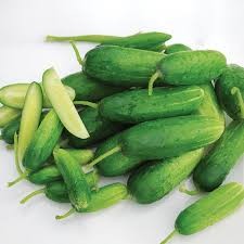 Double Yield Cucumber Seed Pack, Organic