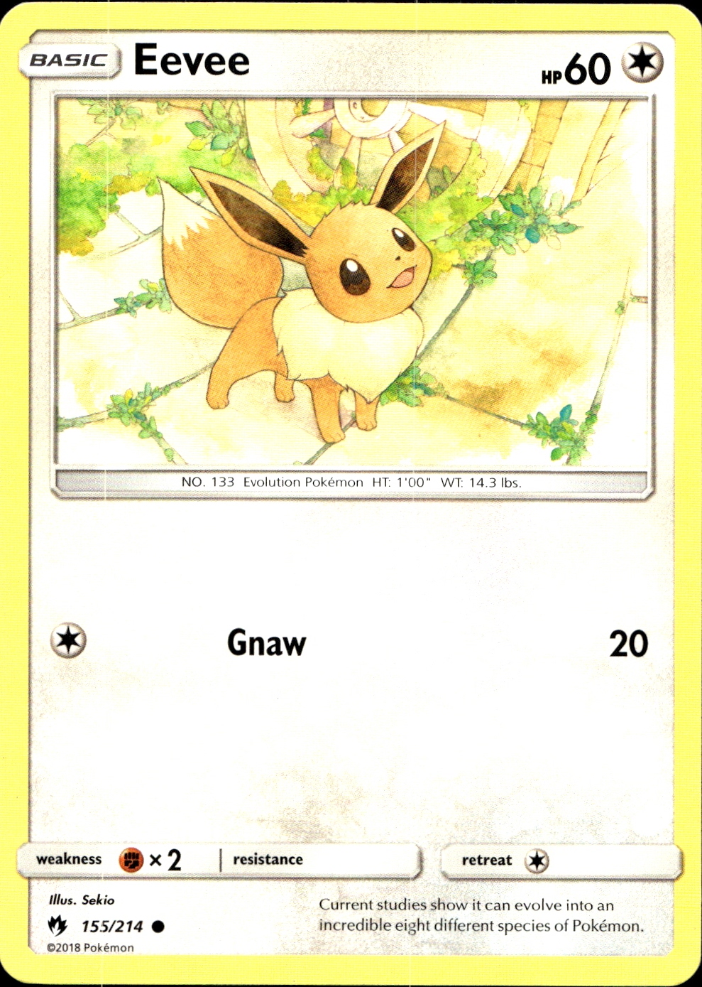 Eevee - SM8 155