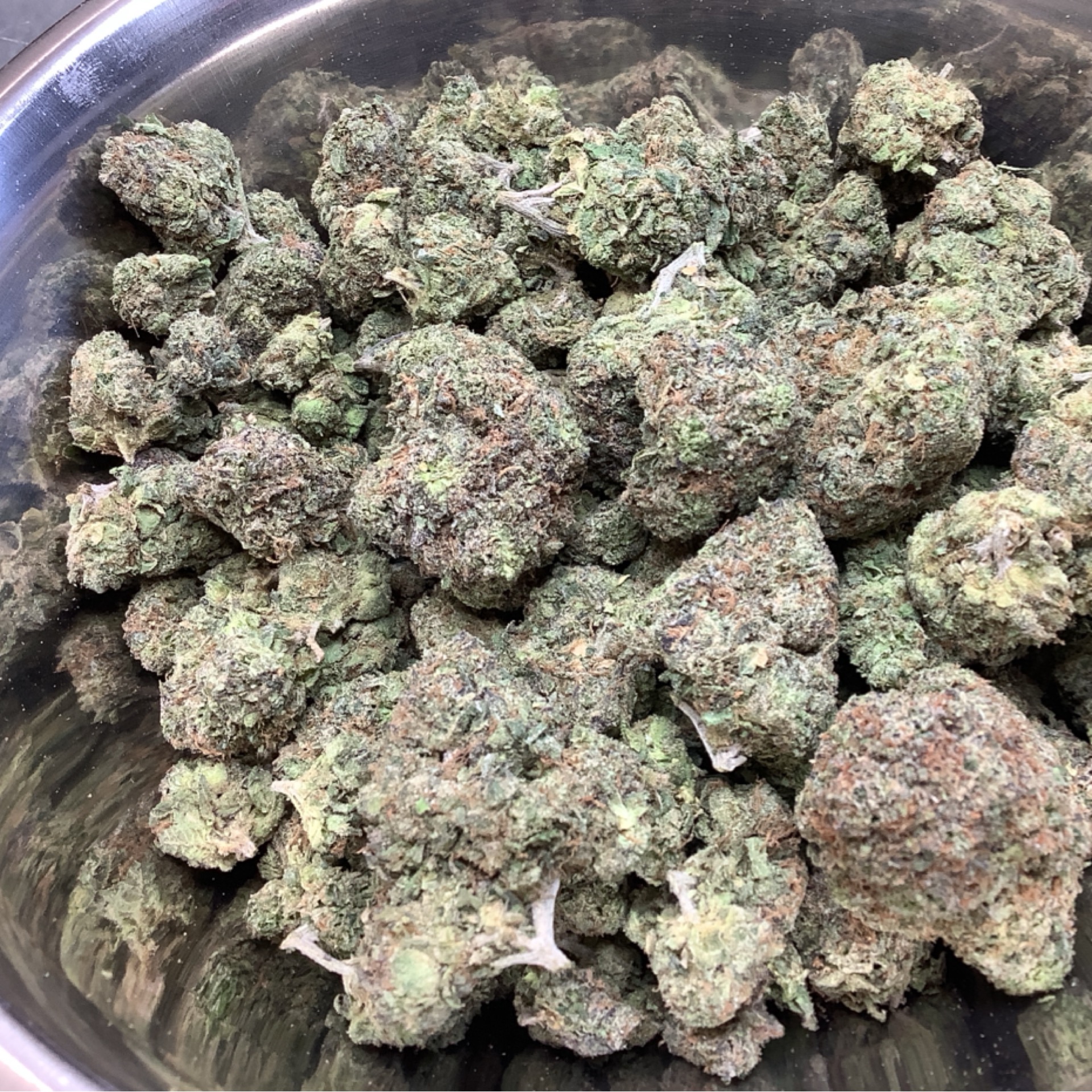 Bubblegum Gelato 31.63% THCA - Regular