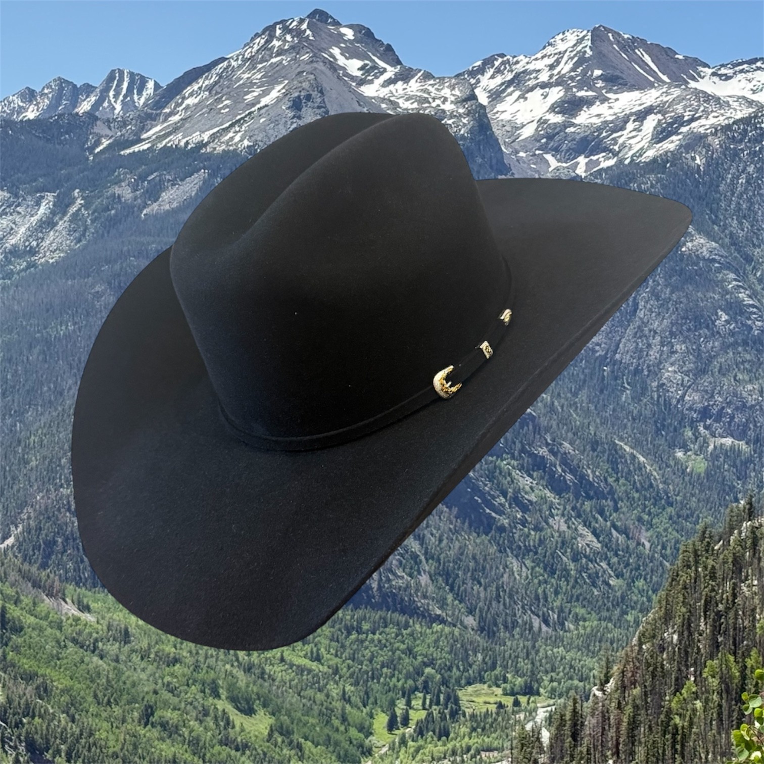 Serratelli 20X Fur Felt Cowboy Hat