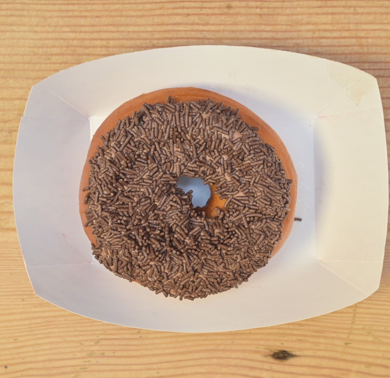 Chocolate Sprinkle Donut