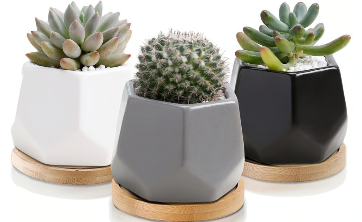 Mini Pentagon Pot w/ Saucer, 3.5"