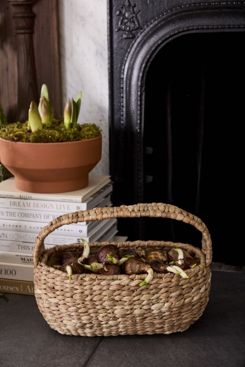 Market inspired seagrass basket with handle