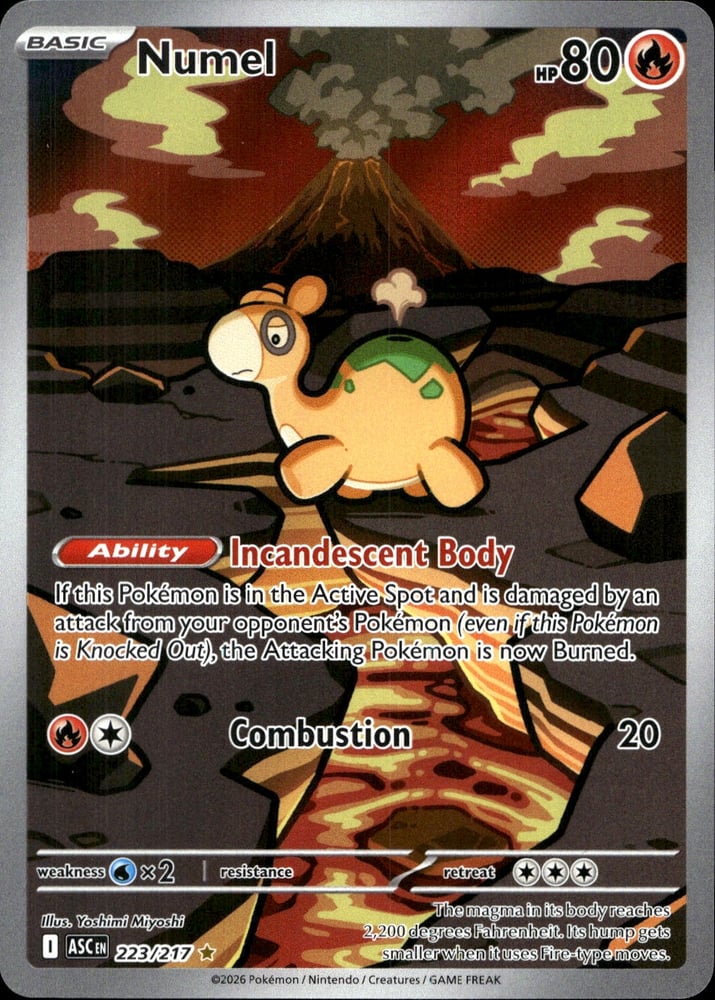 Numel - ME02.5 223/217