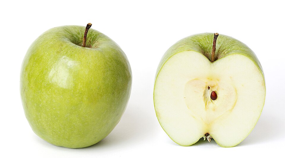 Malus x domestica 'Granny Smith' (Apple)