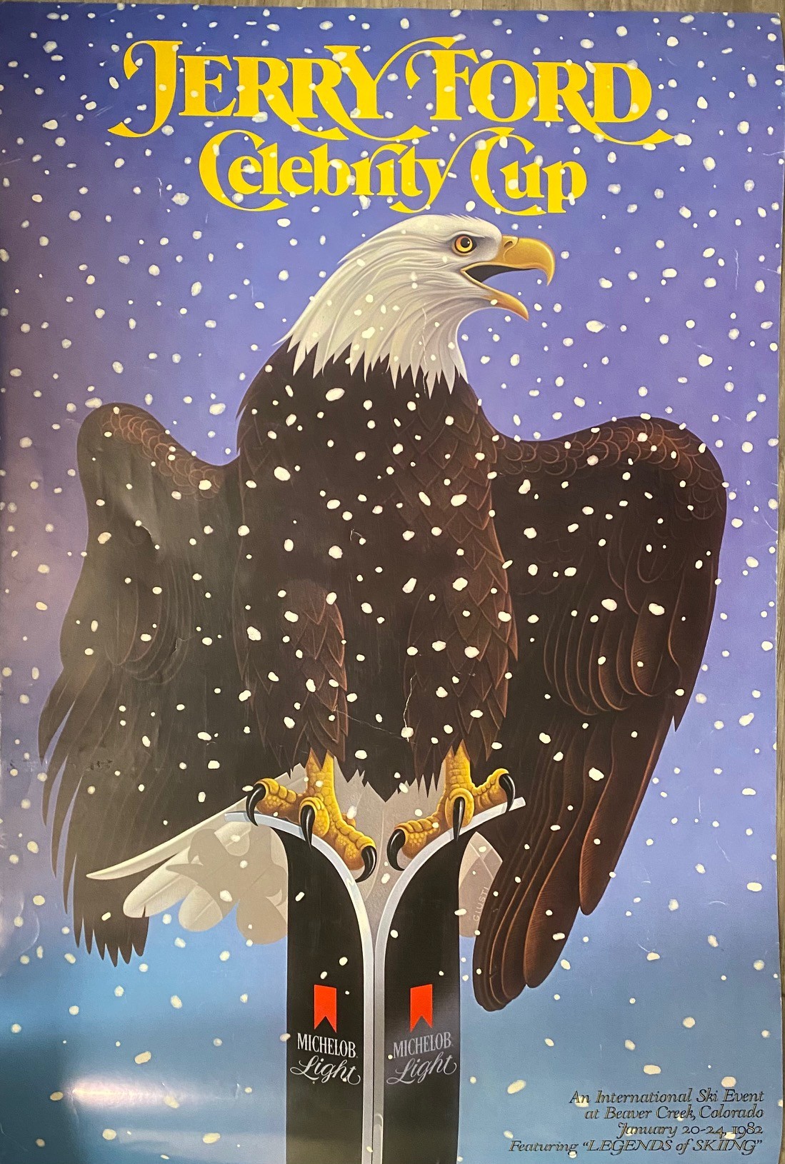 Jerry Ford Celebrity Cup poster