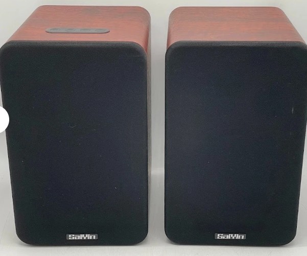 Saiyin Bluetooth Bookshelf Speakers