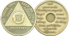 M45 Medallion Bronze 45 Year